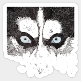 Dotted Blue Eyed Husky Sticker